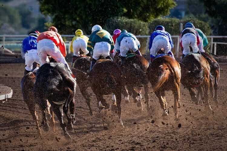 A horse race and their jockies