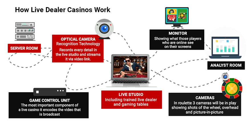 How Do Live Casino Work Infographic